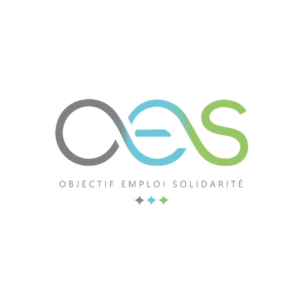 objectif emploi solidarité